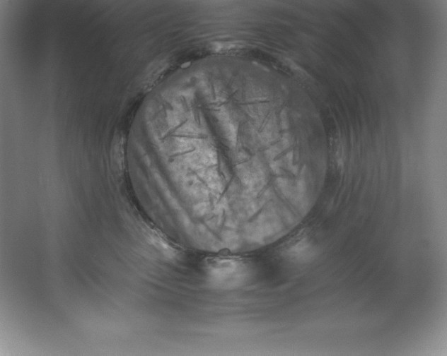 X0000062170475200512231631