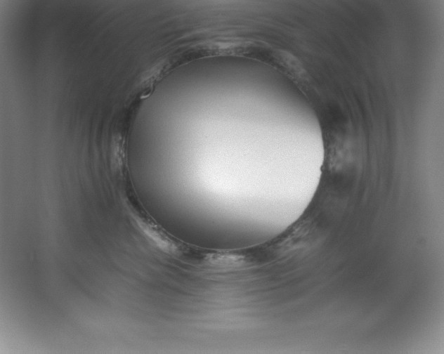 X0000062170476200512231631