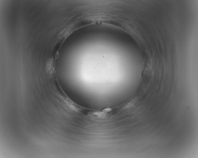 X0000062170478200512231631