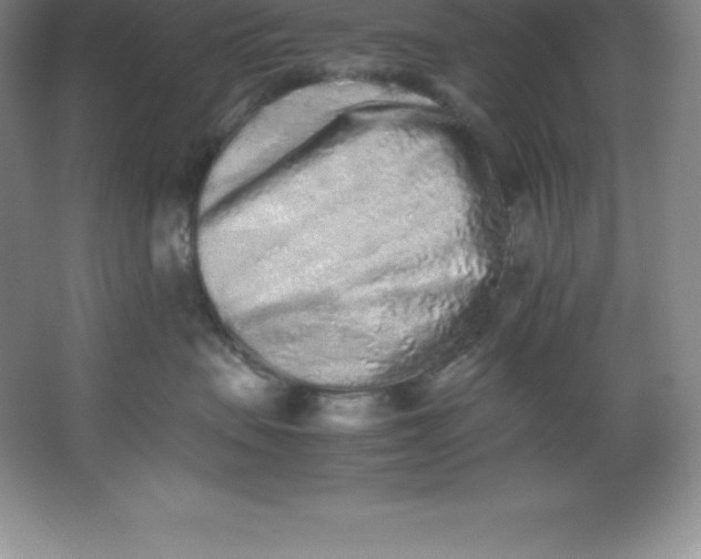 X0000062170479200512231631