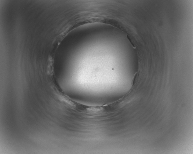 X0000062170480200512231631