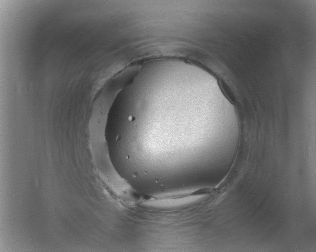 X0000062170481200512231630