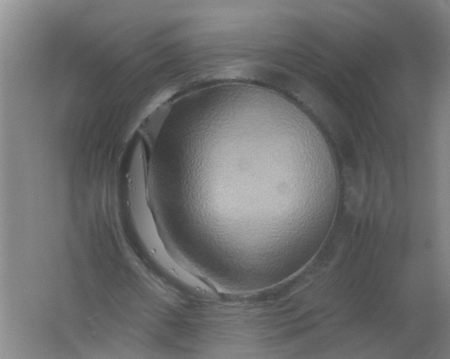 X0000062170482200512231630