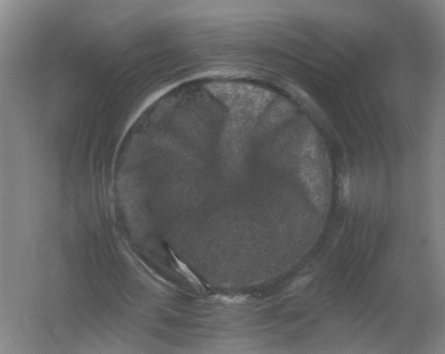 X0000062170484200512231630