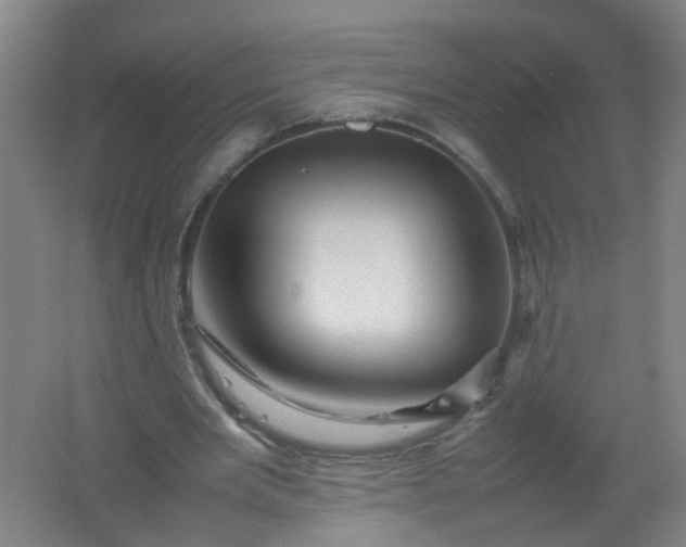 X0000062170485200512231630