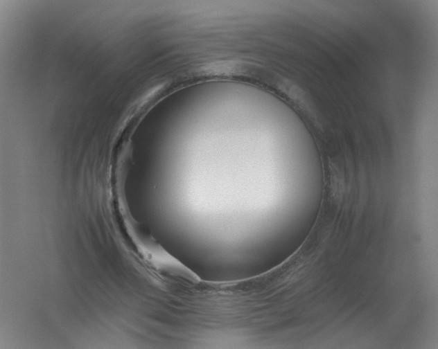 X0000062170486200512231630