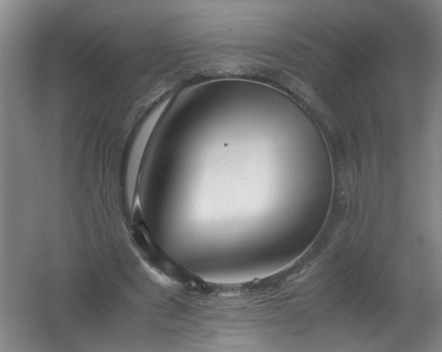 X0000062170489200512231630