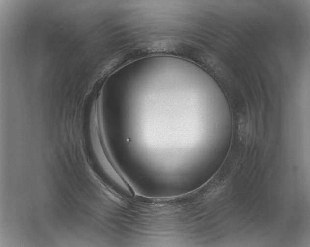 X0000062170490200512231630