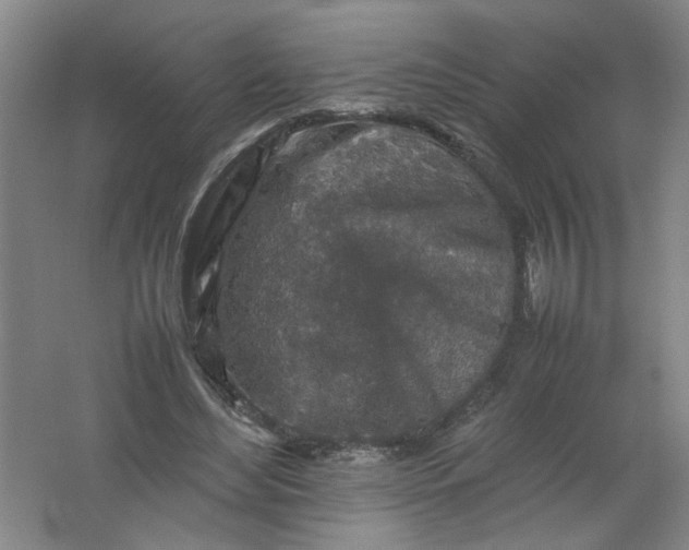 X0000062170492200512231630