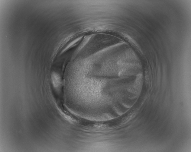 X0000062170493200512231630