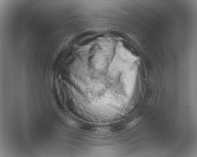 X0000062170495200512231630