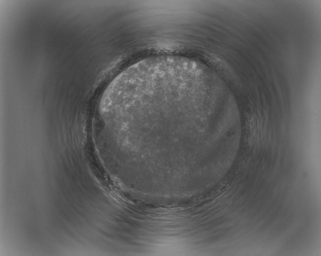 X0000062170496200512231630