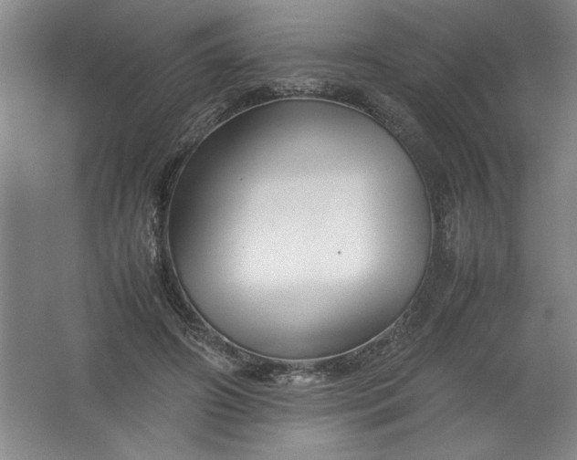 X0000062170498200512231630