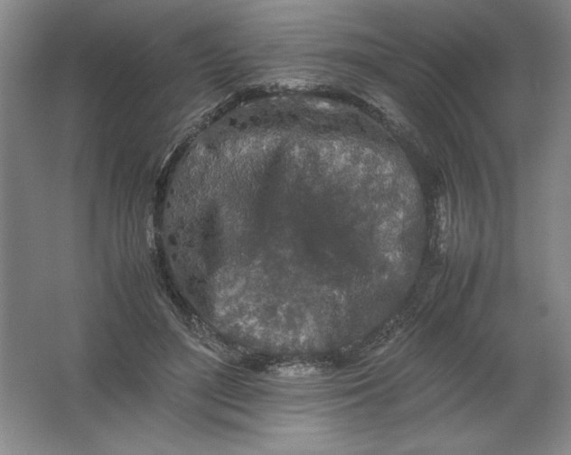 X0000062170500200512231630