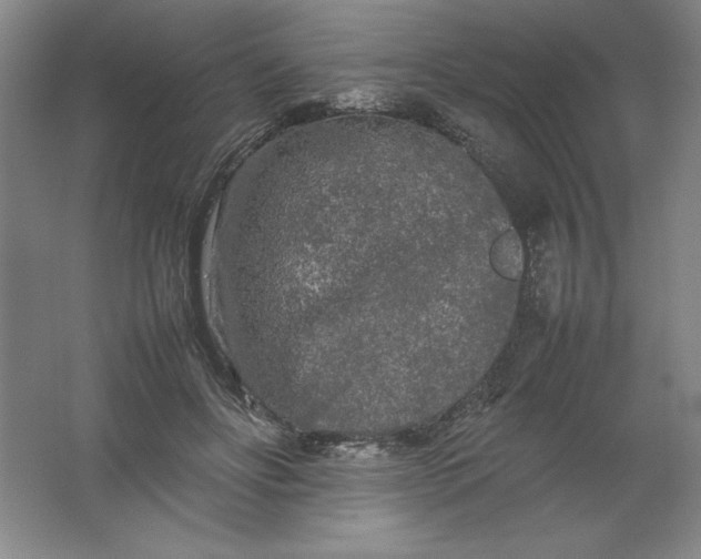 X0000062170502200512231630