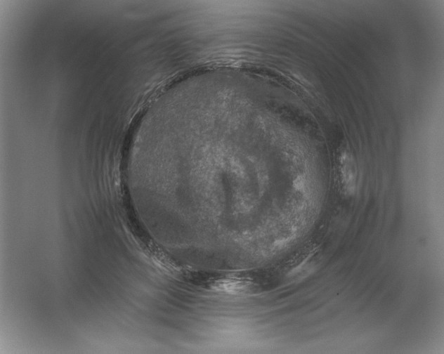 X0000062170504200512231630