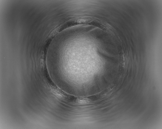 X0000062170510200512231630