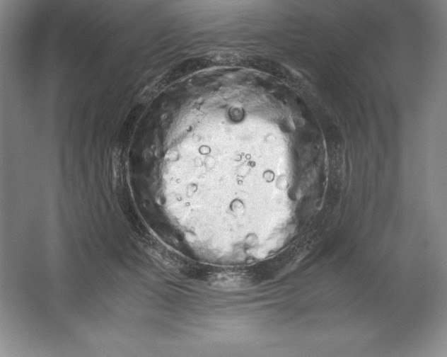 X0000062170511200512231630