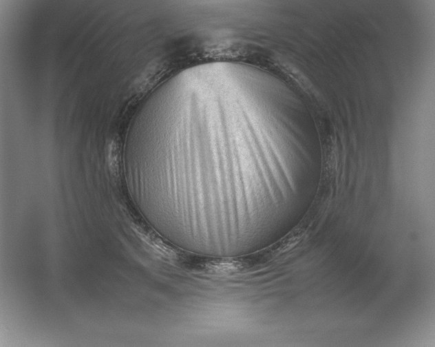 X0000062170513200512231630