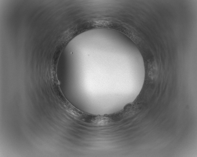 X0000062170514200512231630