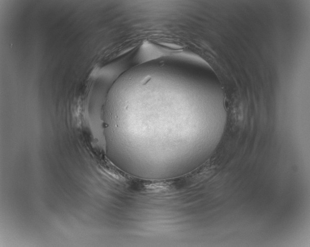 X0000062170516200512231630