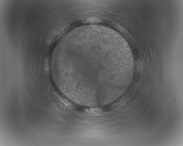 X0000062170517200512231630