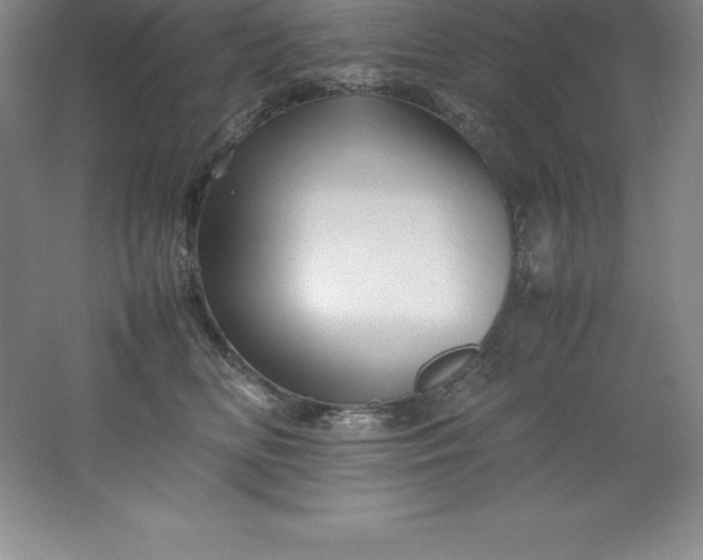 X0000062170518200512231630