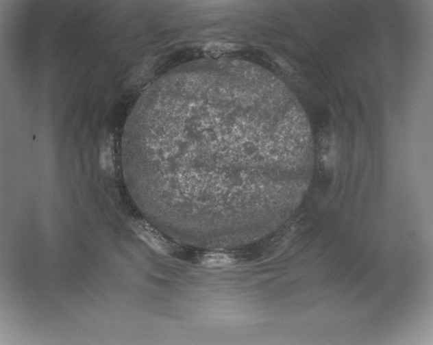 X0000062170519200512231630