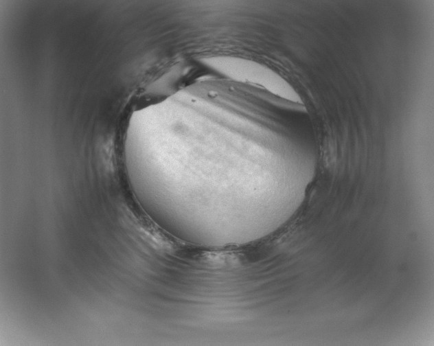 X0000062170520200512231629