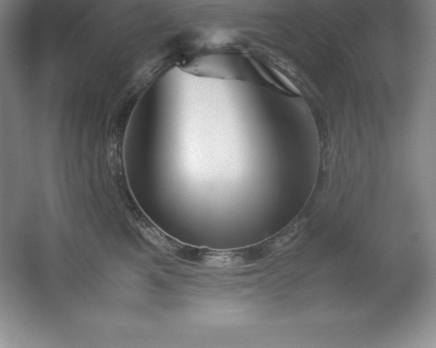 X0000062170521200512231629