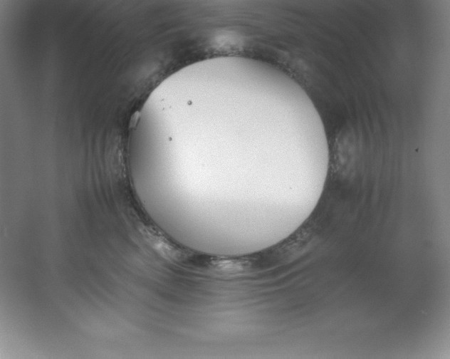 X0000062170522200512231629