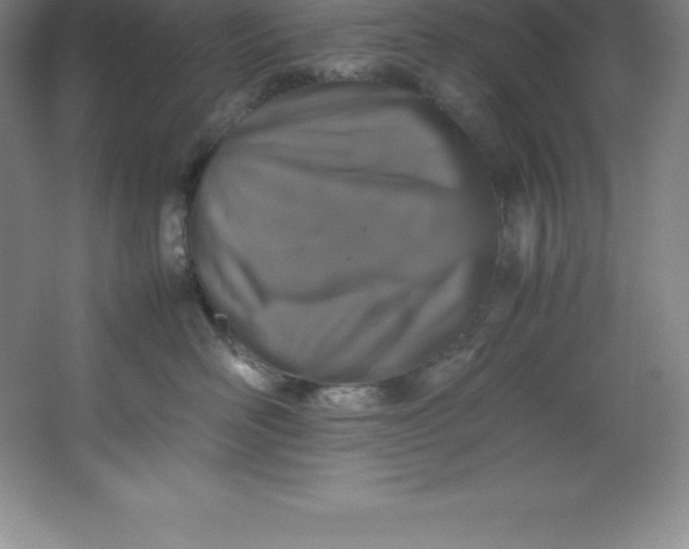 X0000062170526200512231629