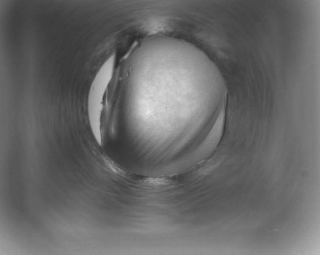 X0000062170528200512231629