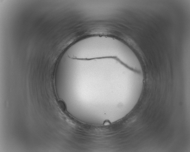 X0000062170529200512231629