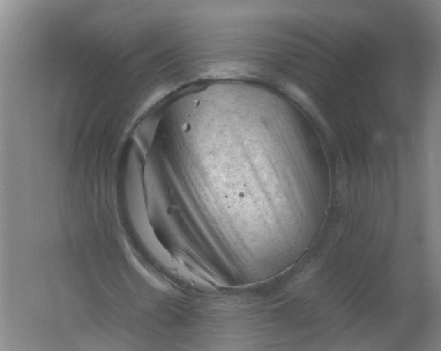 X0000062170530200512231629