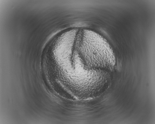 X0000062170531200512231629