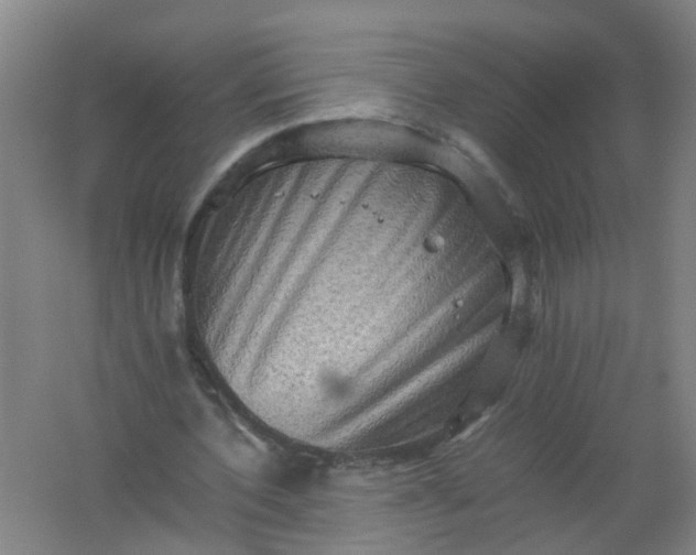 X0000062170532200512231629