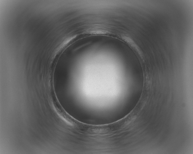 X0000062170533200512231629