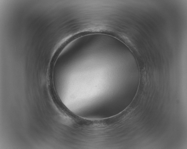 X0000062170536200512231629