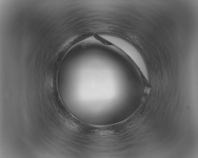 X0000062170539200512231629