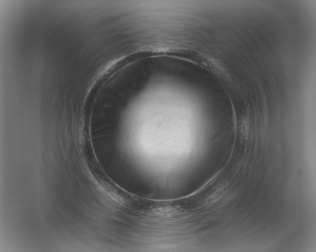 X0000062170540200512231629