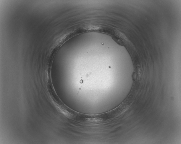 X0000062170541200512231629