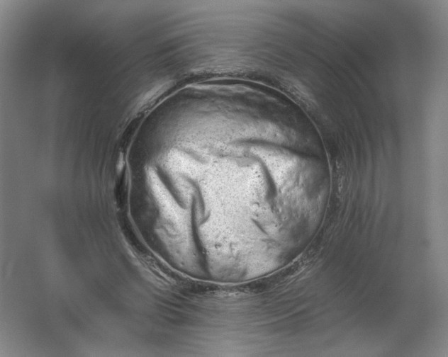 X0000062170542200512231629