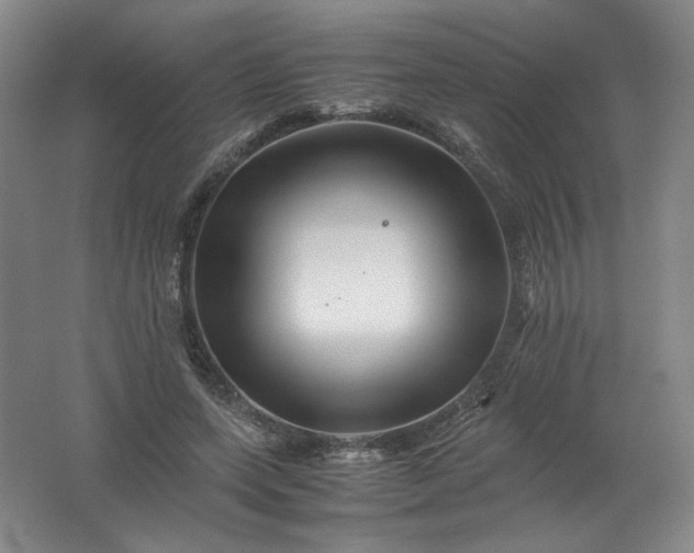 X0000062170543200512231629