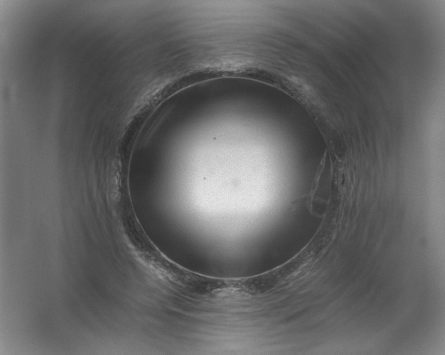 X0000062170544200512231629