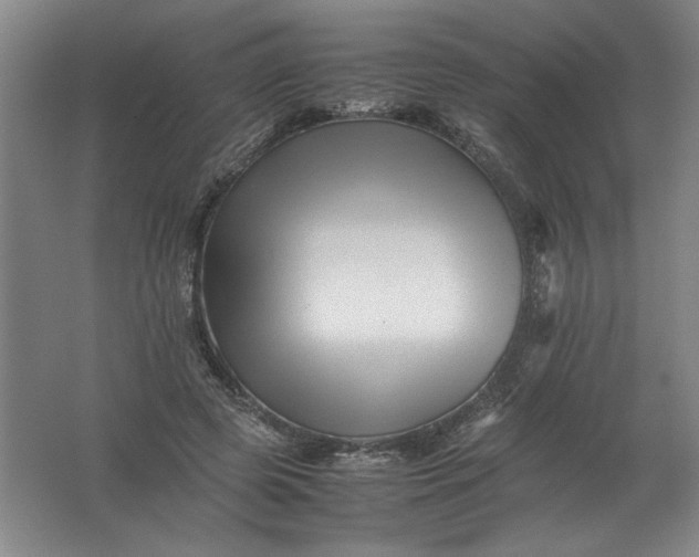 X0000062170545200512231629