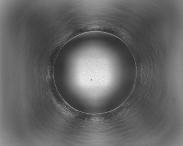 X0000062170546200512231629