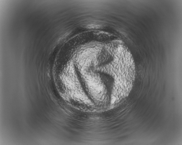 X0000062170547200512231629