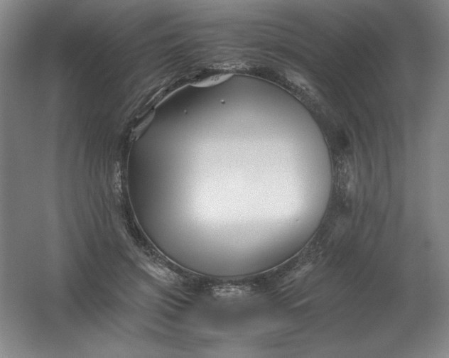 X0000062170549200512231629