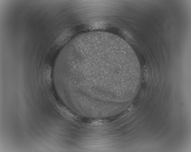 X0000062170550200512231629